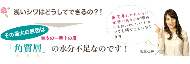 �v���Z���^��10�̈��S�錾