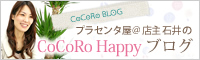 �v���Z���^���X��Έ��CoCoRoHappy�u���O