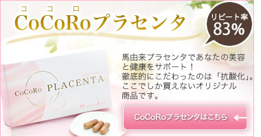 CoCoRo�v���Z���^�͂�����